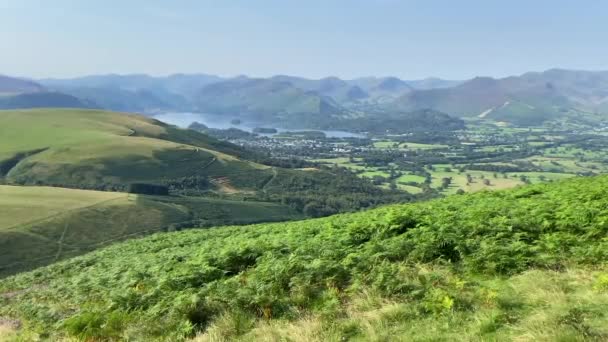 Hermosa Naturaleza Rodada Cinematográfica Campo Verano Inglaterra — Vídeo de stock