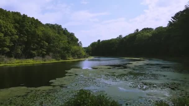 Forward Tracking Swampy Lagoon Michigan — Stock Video