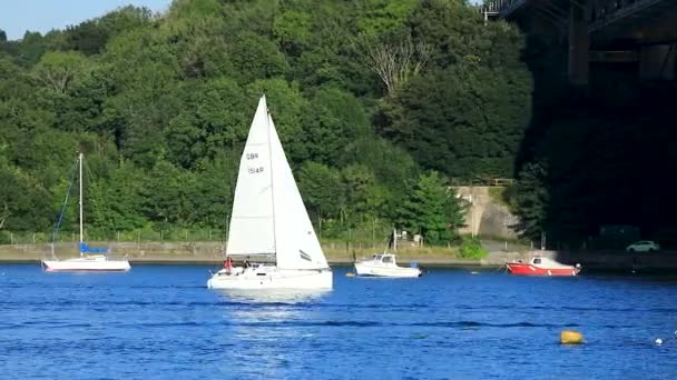 Grand Voilier Navigue Sous Pont Tamar Entre Devon Cornouailles Jour — Video