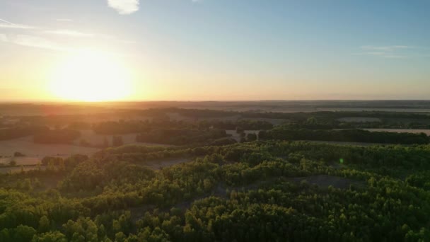 Slow Aerial Drone Shot Beautiful Sunrise Trees Fields Kent — Stock Video