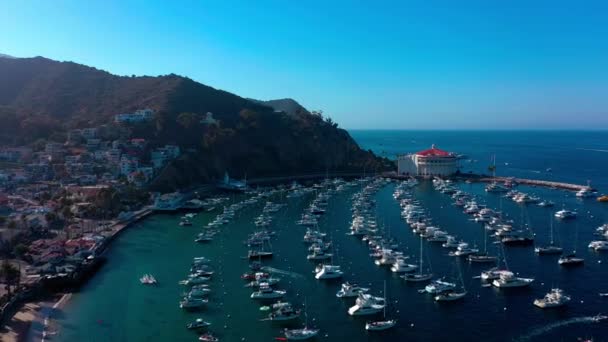 Latający Widok Lotu Ptaka Port Plaże Wyspy Santa Catalina — Wideo stockowe