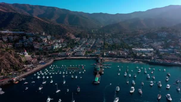 Vysoký Snímek Mola Avalon California Ostrově Catalina — Stock video
