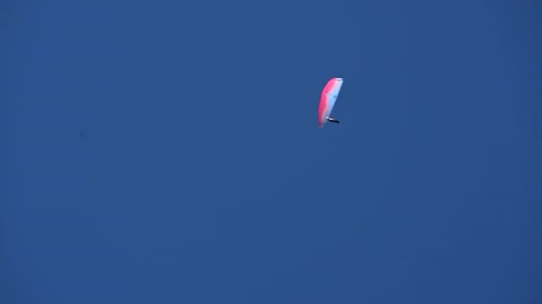 Paracaídas Rosa Azul Vuela Solo Cielo Azul Brillante Sobre Los — Vídeo de stock
