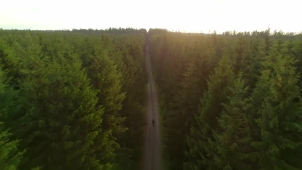 Drone Vliegen Een Rechte Weg Die Leidt Door Het Bos — Stockvideo