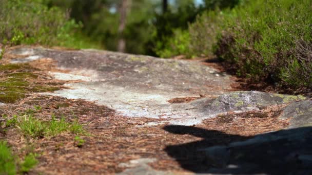 Turistická Stezka Nízký Úhel Osobou Stínem Vstupující Rám Procházející Fotoaparát — Stock video