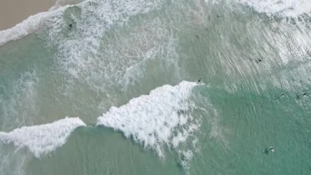 夏には泡立ち波で海でサーフィンをサーファー オーストラリアのニューサウスウェールズ州のデュランバビーチ 空中ドローンのトップダウン — ストック動画
