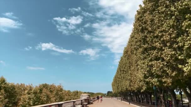 Krásný Park Spoustou Velkého Stromu — Stock video
