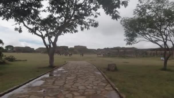 Caminando Monte Alban Sitio Arqueológico Pirámide Templo Histórico Mesoamérica Oaxaca — Vídeo de stock