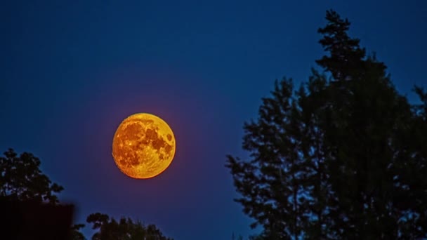 张牙舞爪的月亮在明亮的表面上显示出陨石坑的细节 它的时间飞逝在天空中 — 图库视频影像