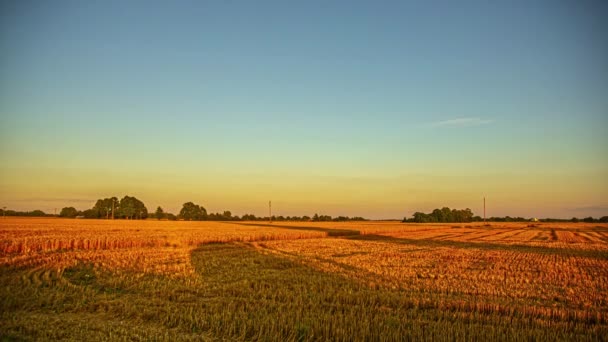 干草の丸めた俵の影と日没時に農地にストレッチ作業人々 時間の経過 — ストック動画