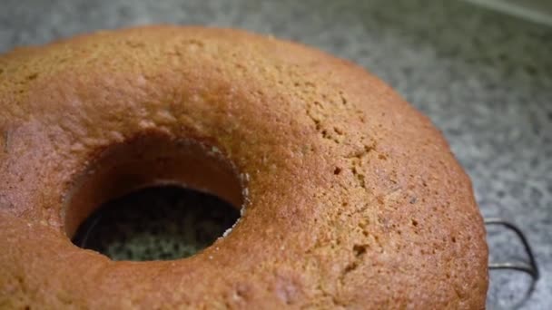 Gâteau Aux Carottes Fraîchement Cuit Sur Porte Fil Acier Inoxydable — Video