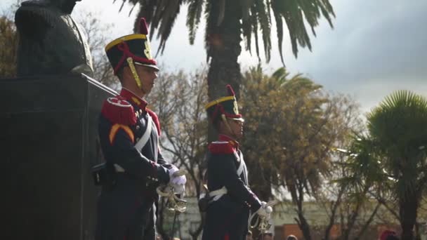 Grenadiere Neben Dem Denkmal Von General San Martin Bei Seiner — Stockvideo