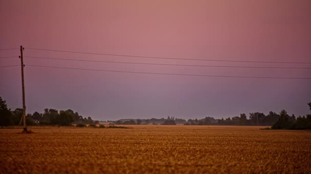Zonsondergang Tot Nachts Met Een Supermaan Die Landbouwgrond Opkomt Tijdsverloop — Stockvideo