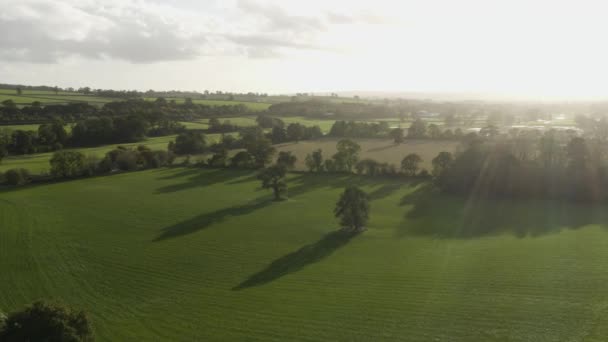在英格兰东德文郡霍尼顿附近的日出期间 英国乡村的田野和树篱 空中广射炮 — 图库视频影像