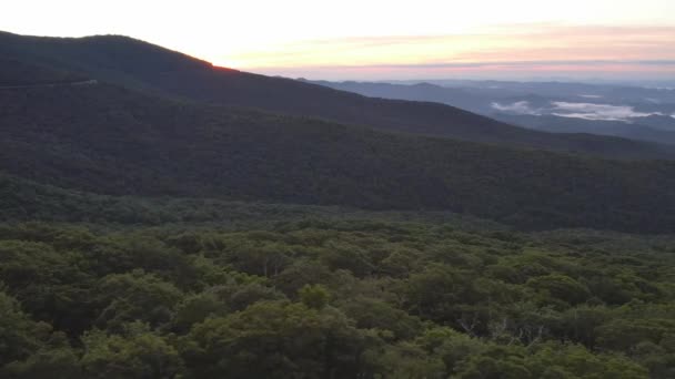 Aerial Panning Treetops Grandfather Mountain Sunrise — Stock Video