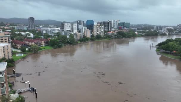 Tiro Dron Del Río Brisbane Inundado Lleno Escombros Brisbane Inundaciones — Vídeo de stock