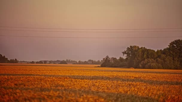 Pěstovaná Zemědělská Půda Evropském Venkově Při Západu Slunce Časový Odstup — Stock video