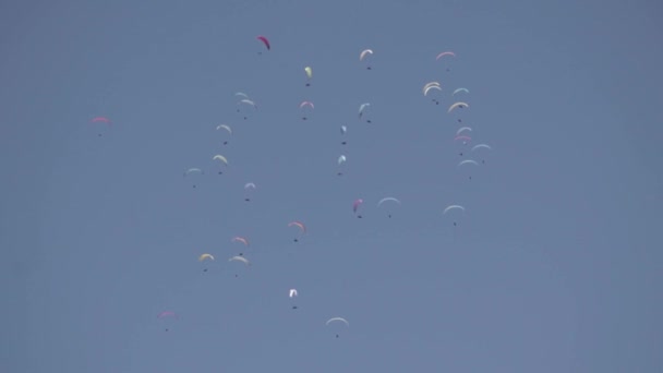 Viele Gleitschirmflieger Fliegen Gemeinsam Bei Einem Gleitschirmwettbewerb Fallschirmspringen — Stockvideo