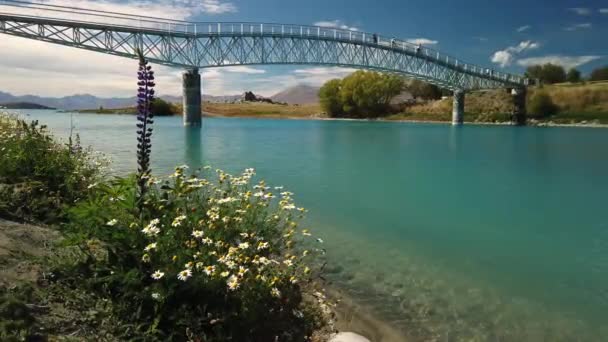 Спокійна Сцена Відомої Новозеландської Подорожі Туристична Привабливість Озера Текапо Міст — стокове відео