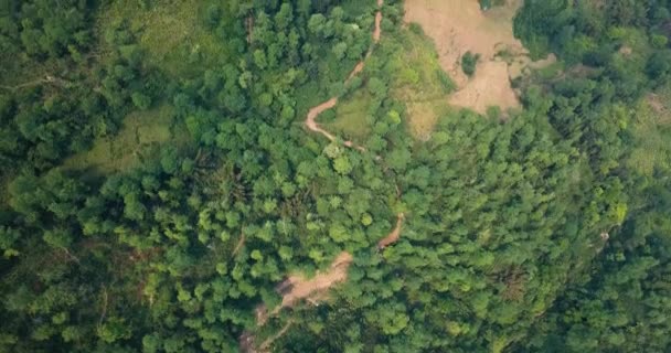 Eine Luftaufnahme Die Auf Flussadern Einem Vietnamesischen Dschungel Blickt Südostasien — Stockvideo