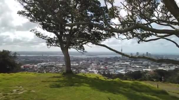 Blížíme Vyhlídce Město Auckland Sopky Eden Oblíbeného Městského Parku Nový — Stock video