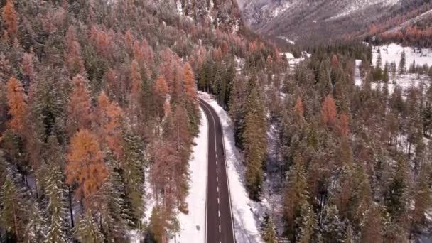 Vägen Passerar Genom Alpin Dal Med Skogslandskap Vintern Antenn — Stockvideo
