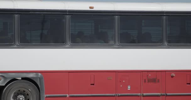 Ostatnio Zatrzymani Emigranci Siedzą Amerykańskim Autobusie Straży Granicznej Wzdłuż Granicy — Wideo stockowe