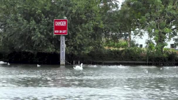 Thames Nehrinin Kırmızı Uyarı Tahtası Ngiltere Royal Windsor Dan Akıyor — Stok video
