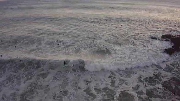 Luchtdrone Zicht Een Aantal Surfers Die Golven Vangen Aan Kust — Stockvideo