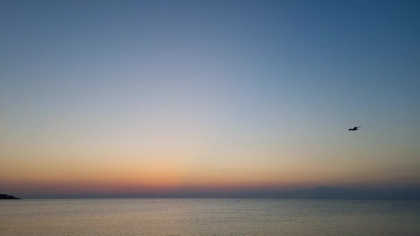 Повільний Рух Чайки Ширяє Небі Над Морем Сході Сонця — стокове відео