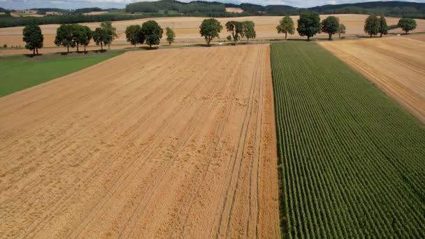 Εναέρια Φθίνουσα Θέα Της Αγροτικής Εξοχή Αγροτική Τεράστια Οικόπεδο Οικόπεδο — Αρχείο Βίντεο