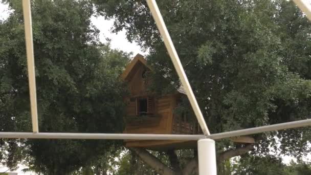 Wunderschönes Baumhaus Für Kinder Auf Einem Großen Baum Vorbei Stangen — Stockvideo