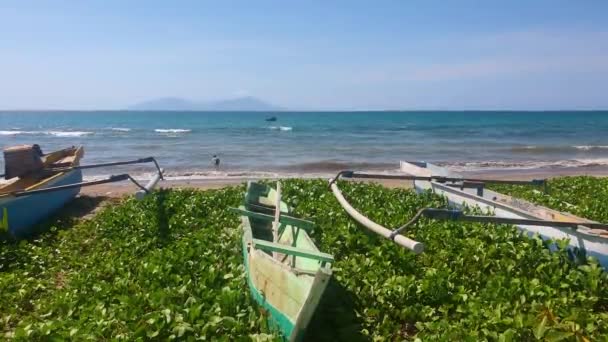 Красочные Традиционные Деревянные Рыболовные Каноэ Пришвартованы Пляже Местными Тиморскими Рыбаками — стоковое видео