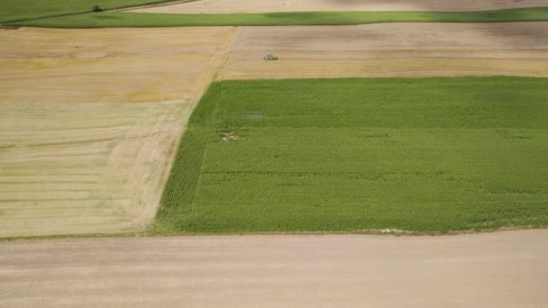 Harvesting Season Usa Hot Summer Day Field Aerial View — Stock Video