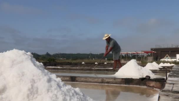 Imagem Homem Que Recolhe Sal Produzido Pela Água Mar Sua — Vídeo de Stock
