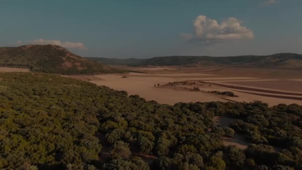 Εναέρια Κάθοδος Drone Shot Πάνω Από Ένα Πράσινο Δάσος Που — Αρχείο Βίντεο
