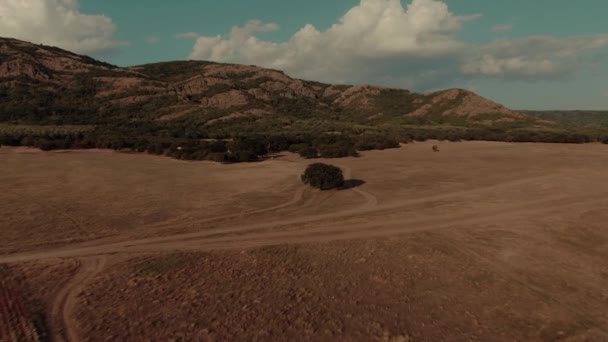 Voando Direção Grande Carvalho Verde Meio Uma Planície Localizada Base — Vídeo de Stock