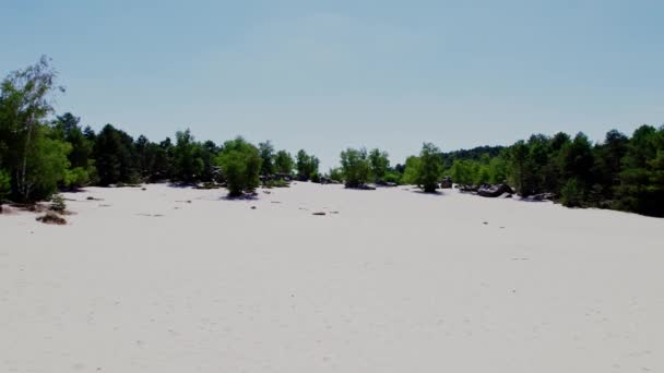 Fine White Dunes Forest Hiking Área Les Sables Cul Chien — Vídeos de Stock