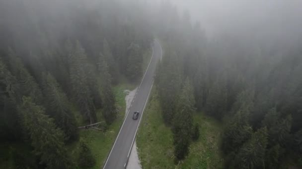 Coche Conduce Por Brumoso Giau Pass Envuelto Por Bosque Coníferas — Vídeo de stock