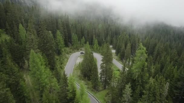 Сценическая Поездка Перевалу Джау Через Альпийский Лес Доломиты — стоковое видео