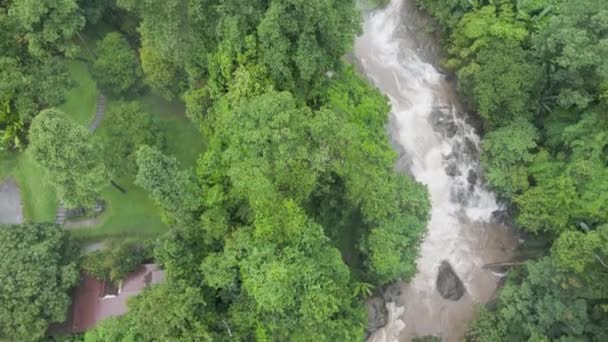 Powietrze Nad Głową Tropikalne Drzewa Pochylonym Widokiem Kaskadowe Wodospady Wachirathan — Wideo stockowe