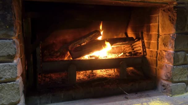 Fireplace Freshly Added Logs Starting Catch Fire — Stock Video