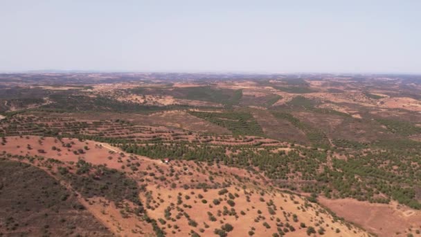 Vista Natural Paisagem Rural Vale Com Vegetação Alentejo Flyover Drones — Vídeo de Stock