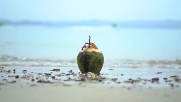 Relajante Resort Hotel Vacation Shot Beautiful Coconut Drink Beach Con — Vídeos de Stock