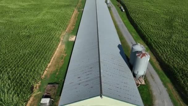 Luchtfoto Van Pluimveeschuur Kippenhok Omgeven Door Maïsvelden Amerikaanse Boerderij Scene — Stockvideo