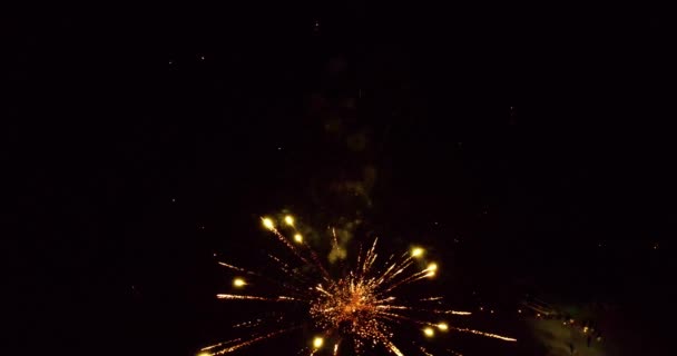 Filmagem Aérea Fogos Artifício Explodindo Dia Julho — Vídeo de Stock