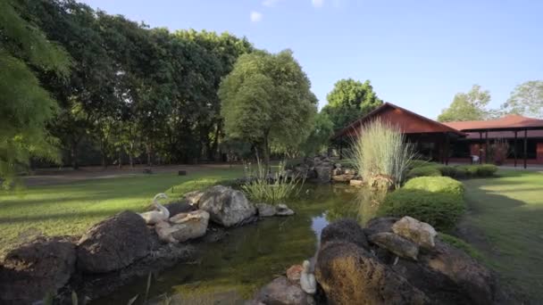 Wide Pull Back Pond Red House Background Rural House Green — Stock Video