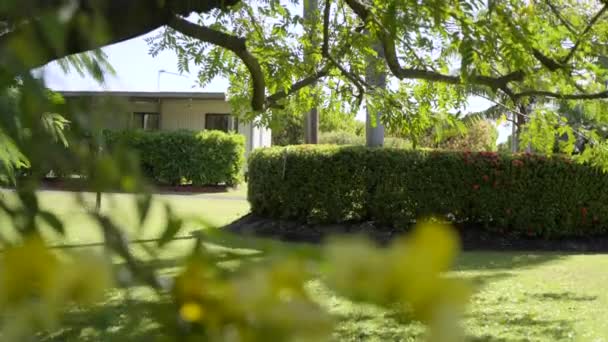 Céspedes Verdes Setos Cuidados Frente Una Pequeña Casa Zona Estar — Vídeo de stock