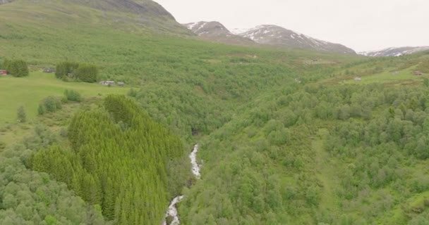 Skovdalen Med Flowing Mountain River Aurlandsvangen Aurland Vestland County Norge – Stock-video