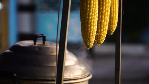 Günstige Mais Street Food Verkäufer Vietnam Straße Dampfender Topf Verschwommener — Stockvideo